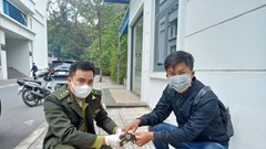Vườn Quốc gia Cúc Phương cứu hộ nhiều cá thể động vật hoang dã