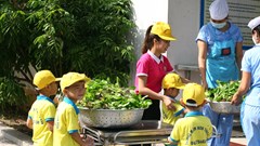 Giáo viên mầm non làm gì mùa dịch?