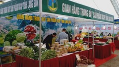 Đẩy mạnh tăng cường kết nối và quảng bá, phân loại các sản phẩm OCOP