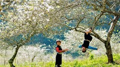 Du lịch Sơn La thích ứng an toàn trong bối cảnh bình thường mới