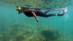 Cô gái “nghiện” nhặt rác, cứu sinh vật biển