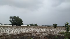 Nhiều dự án "đắp chiếu”, hàng trăm ha đất bỏ hoang ở TT- Huế: Người dân “xót” khi có dự án 17 năm... bất động