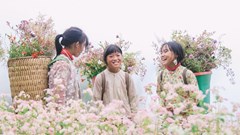 Nhiều du khách chọn Cao nguyên đá Đồng Văn là điểm đến trong dịp lễ