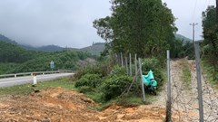 Tuyến cao tốc La Sơn - Túy Loan: Dân "xé rào” vào vùng sản xuất