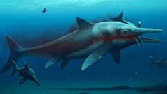 Anh: Phát hiện hóa thạch “ngư long” 180 triệu năm