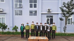 Vườn Quốc gia Cúc Phương cứu hộ số lượng lớn cá thể động vật hoang dã