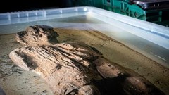 Phát hiện tượng gỗ La Mã trăm năm có một ở Anh