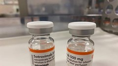 WHO phê duyệt thêm hai phương pháp điều trị Covid-19