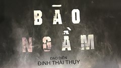 Phim Cảnh sát hình sự Bão ngầm chờ ngày lên sóng