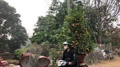 Mưu sinh trong những ngày cận Tết