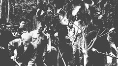 Kể chuyện đón Tết ở cơ quan Bác Hồ