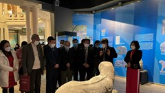 Khai mạc trưng bày chuyên đề "Hổ trong mỹ thuật cổ Việt Nam"