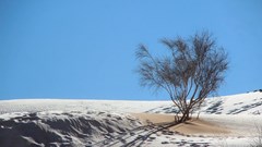 Tuyết rơi bất thường, phủ trắng xóa ở vùng đất khô nóng nhất thế giới