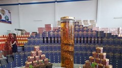 Vụ doanh nghiệp công bố trồng 10 ha Sâm Ngọc Linh ở Kon Tum: Trồng Sâm trên “giấy”