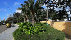 Tiếp việc làm vòng xuyến Mũi Tấn “quên bỏ” bồn hoa cũ: Sở Xây dựng Bình Định đề xuất điều chỉnh thành hoa viên