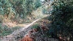 Nghệ An: Xuất hiện vết nứt lớn trên đồi uy hiếp an toàn tính mạng hàng chục hộ dân