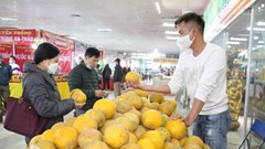 Khai mạc hội chợ Xuân Nhâm Dần năm 2022 tại Hà Nội