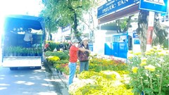 Xuân đã về trên phố biển Nha Trang