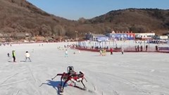 Ra mắt robot trượt tuyết có thể tranh tài với vận động viên