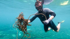 Những bức ảnh biết nói trong “Cuộc thi ảnh Câu chuyện rác nhựa”