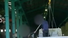 Nhật Bản tăng cường quản lý sau vụ thực tập sinh Việt bị bạo hành