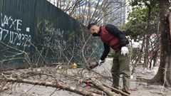 Hà Nội: Lái buôn "đứt ruột" chặt hoa chiều 28 Tết