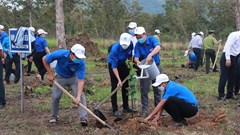 Khánh Hòa:  Phát động "Tết trồng cây đời đời nhớ ơn Bác Hồ"