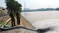 Xử lý nghiêm các hành vi vi phạm môi trường