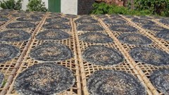 Hương vị bánh đa Kế