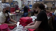 Nhà máy chocolate lâu đời nhất New York tăng tốc phục vụ Valentine