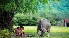 Ngẫm nghĩ từ lũy tre làng đến chung cư cao tầng