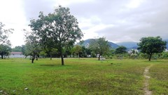 Khánh Hòa: Sinh hoạt tổ dân phố ở hè đường