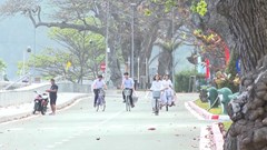 Côn Đảo: Đẹp thơ mộng, ngỡ ngàng mùa Bàng thay lá