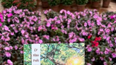 “Ép mình phải xinh phải dữ”