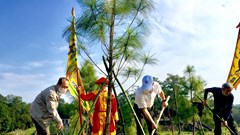 Trồng thêm 300 cây xanh ở quần thể di tích lăng Gia Long