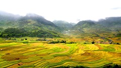 Xây dựng thương hiệu di sản văn hóa trong phát triển du lịch