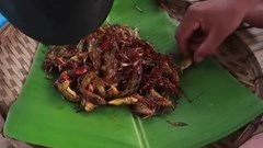 Muồm muỗm rang Mường Lò