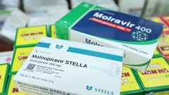 Dùng thuốc Molnupiravir điều trị Covid: Những thông tin cần biết