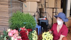 Lâm Đồng: Giá hoa hồng tăng cao trước lễ 8.3