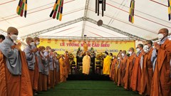 Khẩn trương điều tra, xác định nguyên nhân vụ tai nạn chìm canô tại Hội An