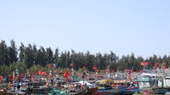 Giá xăng dầu tăng cao, tàu cá nằm bờ