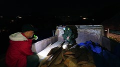 Kiểm lâm Lâm Đồng mật phục thu giữ trên 2,2m3 gỗ vận chuyển trái phép