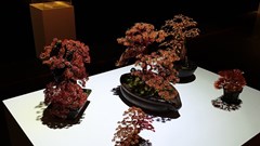 Khởi động Cuộc thi và Triển lãm Mỹ thuật ứng dụng toàn quốc lần thứ 5