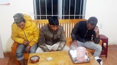 Bắt quả tang 3 đối tượng vận chuyển gỗ trái phép