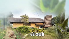 Bỏ phố về quê, hiện tượng hay xu hướng?