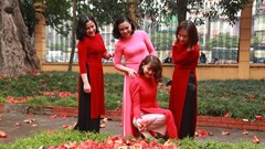 Lãng mạn Bác Cổ- Mùa hoa gạo