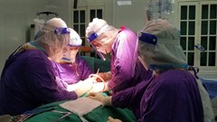 Bình thường hóa điều trị, phẫu thuật cho bệnh nhân nhiễm Covid-19