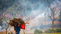 Sức sống trên Cao nguyên đá Đồng Văn