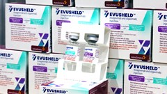 Lô kháng thể đơn dòng Evusheld ngừa Covid-19 đã về Việt Nam