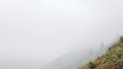 Sẽ hỗ trợ 500.000 đồng cho hộ nghèo mua điện thoại thông minh